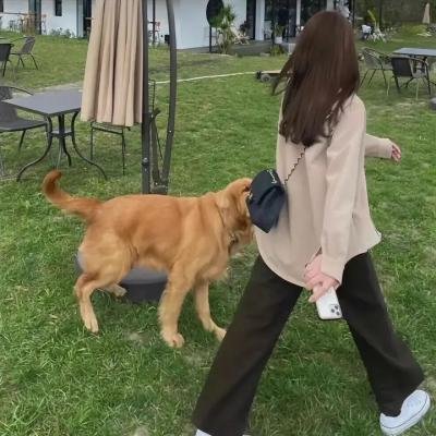 灵异漩涡之万丈鬼渊